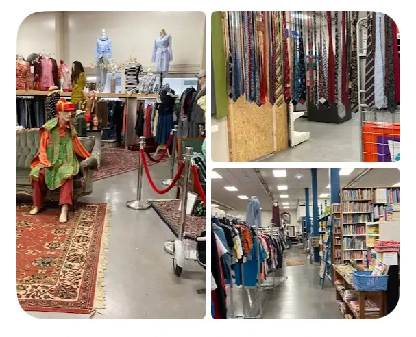 Overzicht van kringloopwinkel met kledingrekken, stellingen met boeken, decorstukken en uiteenstalling van tweedehands goeder