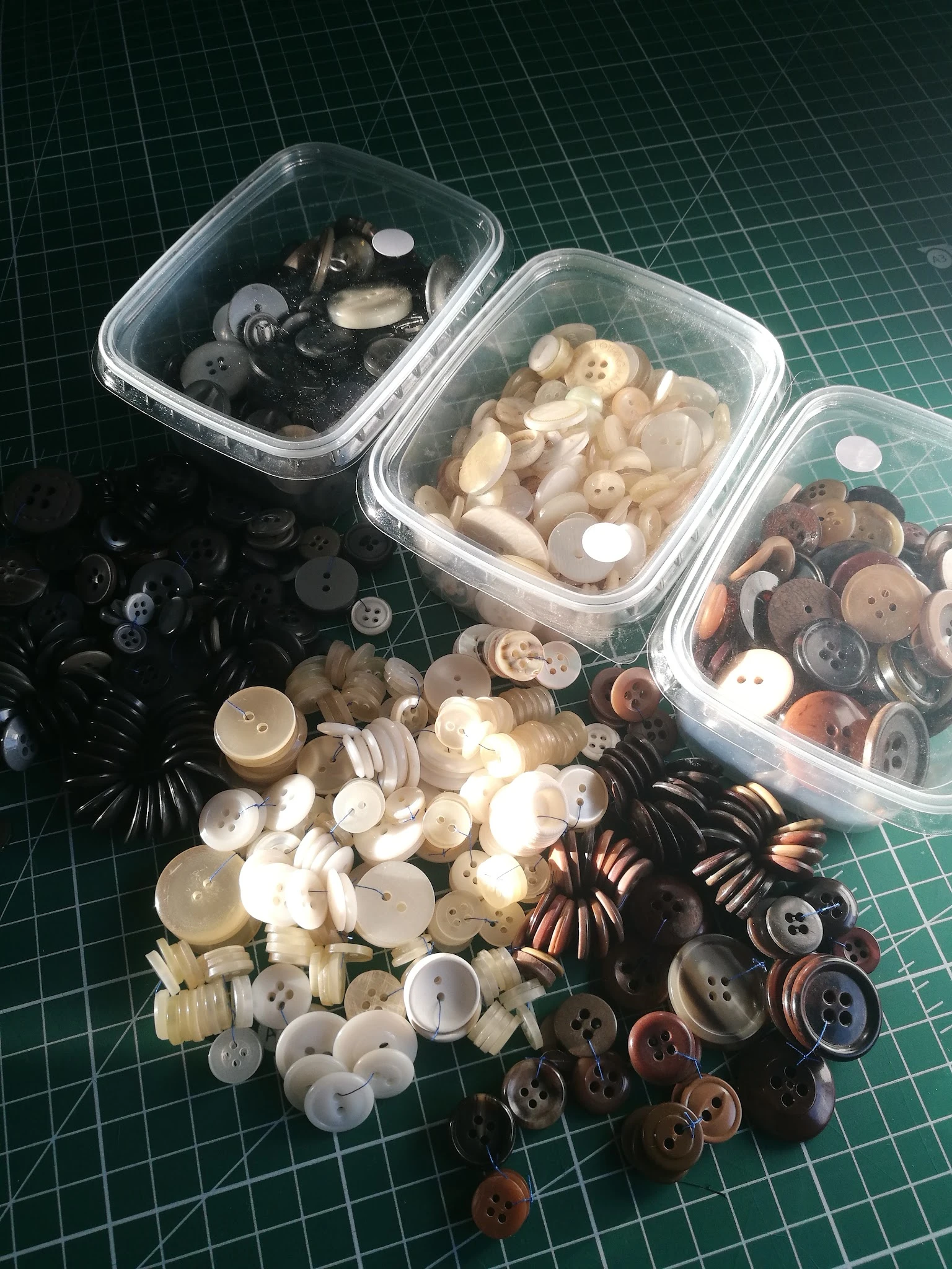Plastic bakjes met diverse losse knopen in verschillende kleuren en materialen, uitgestald op groene ondergrond