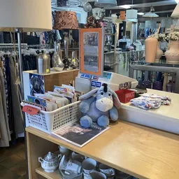 Toonbank met uitgestalde tweedehands artikelen: blauw knuffeldier, fotoboeken, vazen en overige decoratieve spullen in een kr
