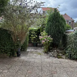 Grindpad tussen groene hagen en heggen in een binnentuin of achtertuin