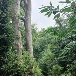 Bezoeker foto van Kringloop Groesbeek stichting Sint Michael in Groesbeek