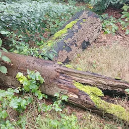 Bezoeker foto van Kringloop Groesbeek stichting Sint Michael in Groesbeek