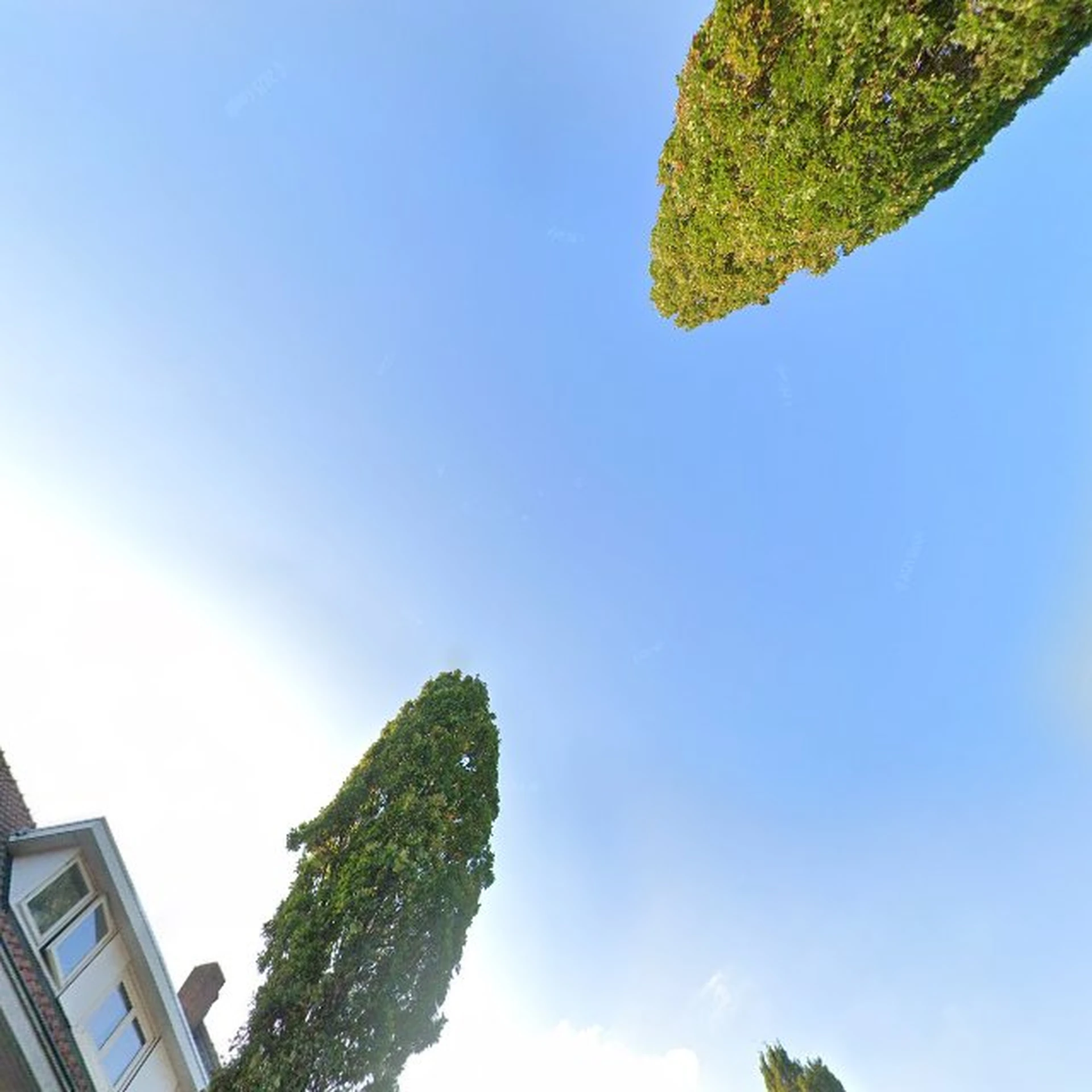 Kringloopwinkel Kringloop Groothandel Weert in Weert