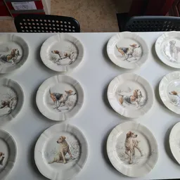 Twaalf decoratieve borden met vintage hondenafbeeldingen, uitgestald op een witte tafel