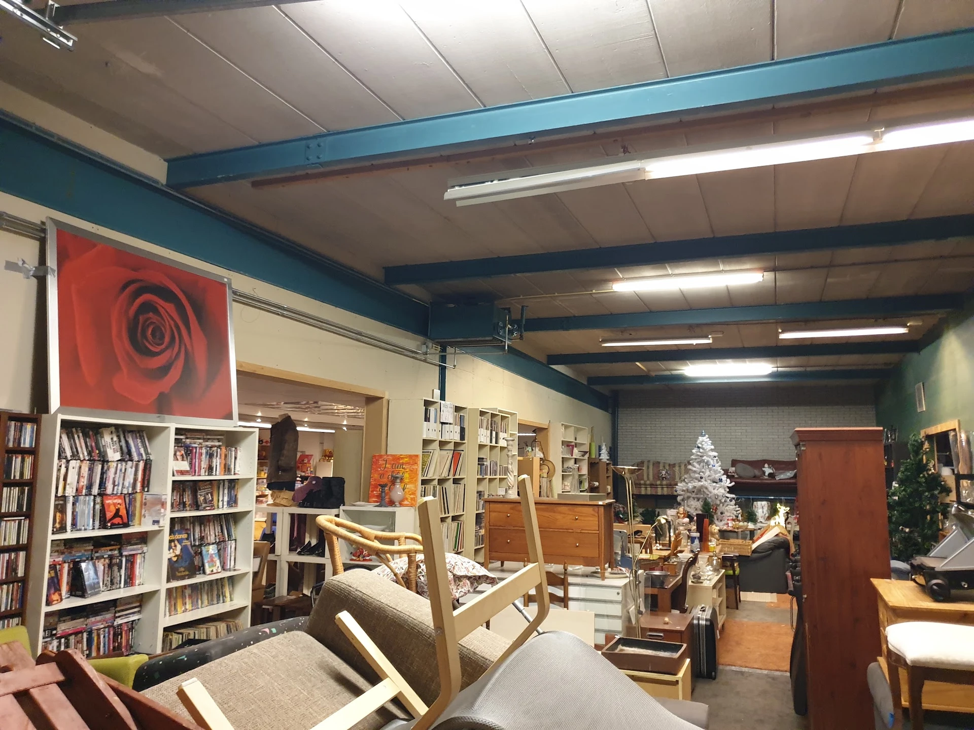Winkelinterieur met boekenkasten, houten meubels en kerstdecoratie