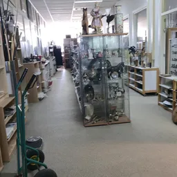 Winkelvloer met glazen vitrines vol collectibles en stellingen met artikelen aan weerszijden