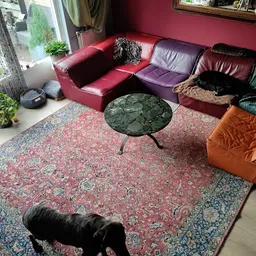 Bezoeker foto van Kringloop Heiloo in Heiloo