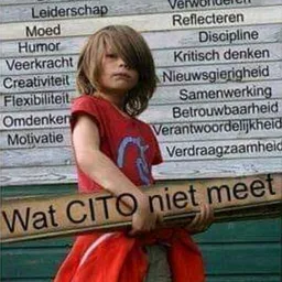 Kind met houten paal voor houten wand met Nederlandse woorden, meme-achtige samenstelling