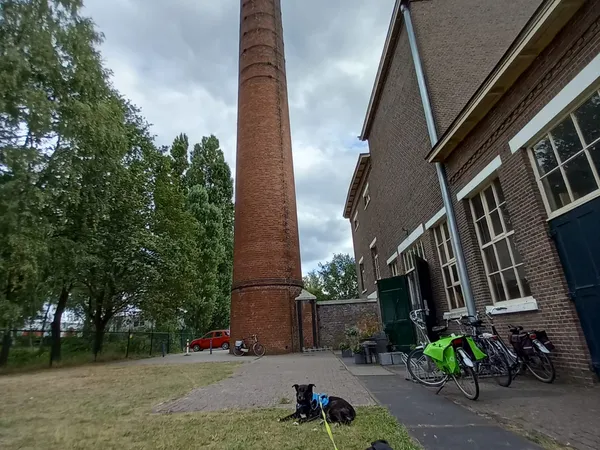 Bakstenen kringloopwinkel met rode schoorsteen, fietsen tegen de gevel en grasveld ervoor