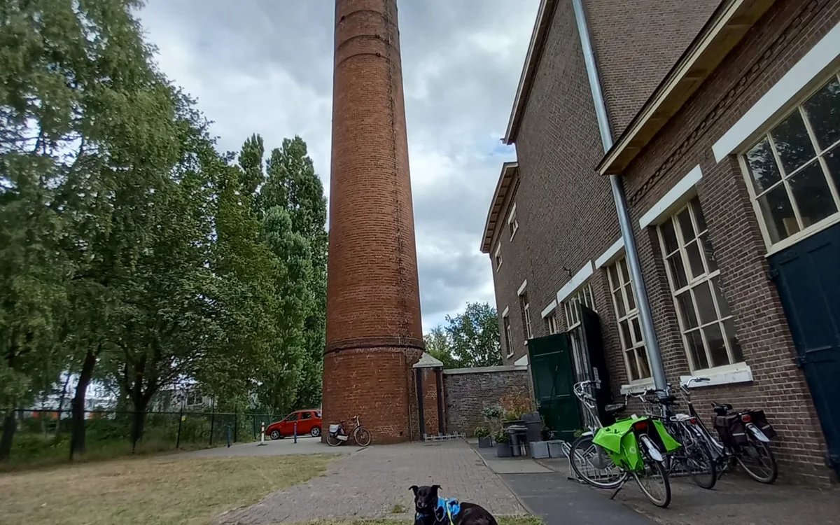 Bakstenen kringloopwinkel met rode schoorsteen, fietsen tegen de gevel en grasveld ervoor