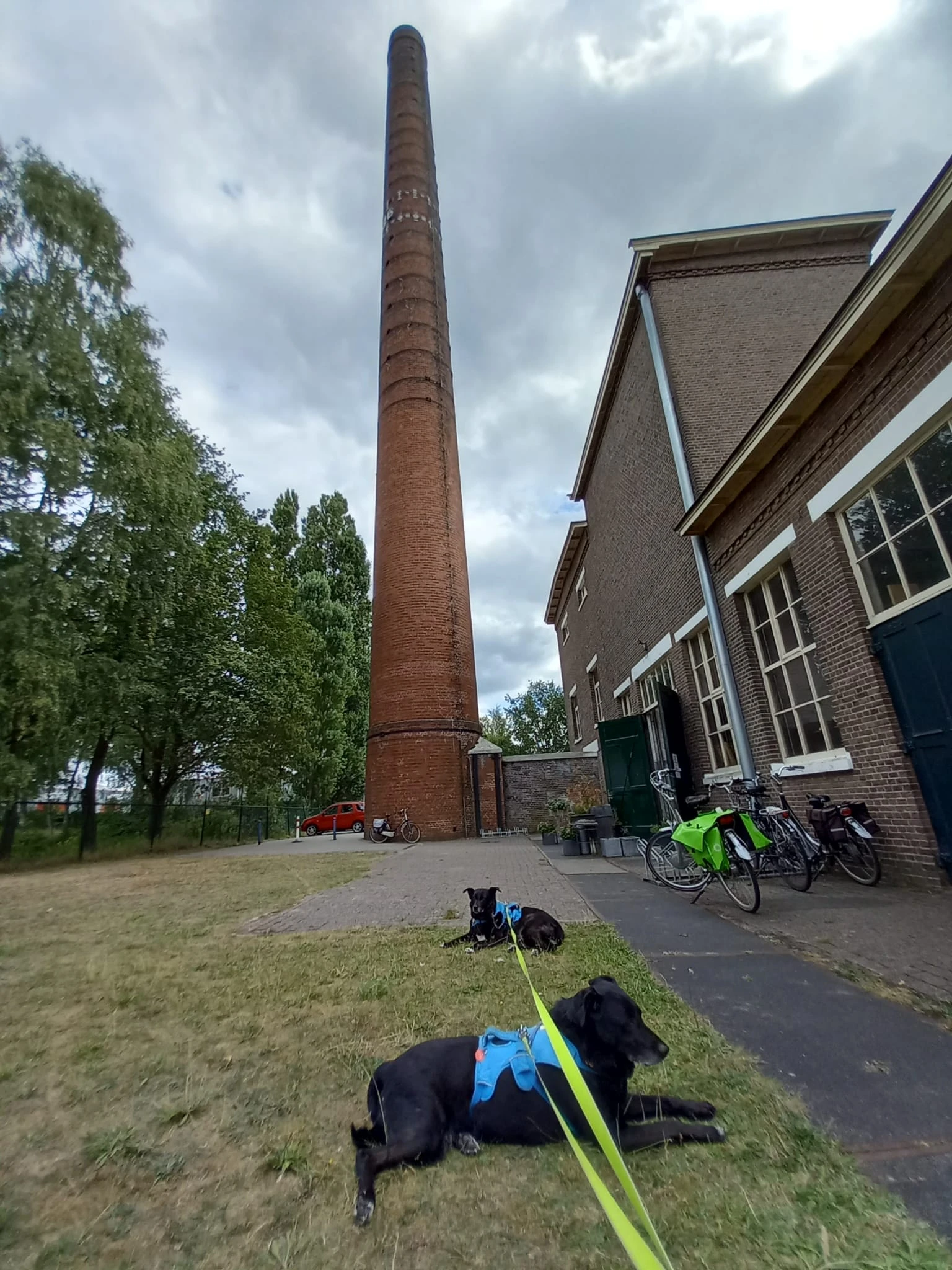 Bakstenen kringloopwinkel met rode schoorsteen, fietsen tegen de gevel en grasveld ervoor
