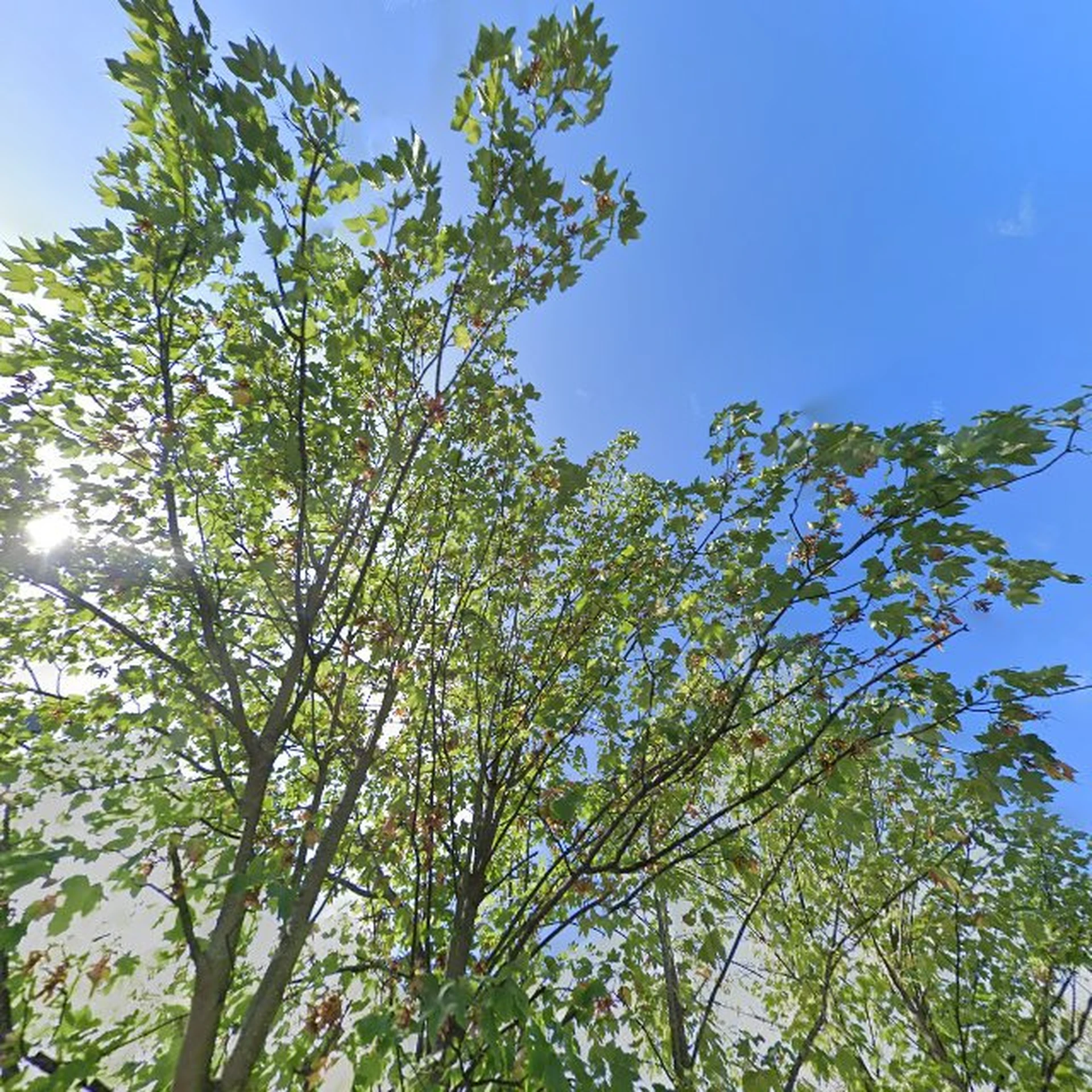 Kringloopwinkel Kringloop Hilversum in Hilversum