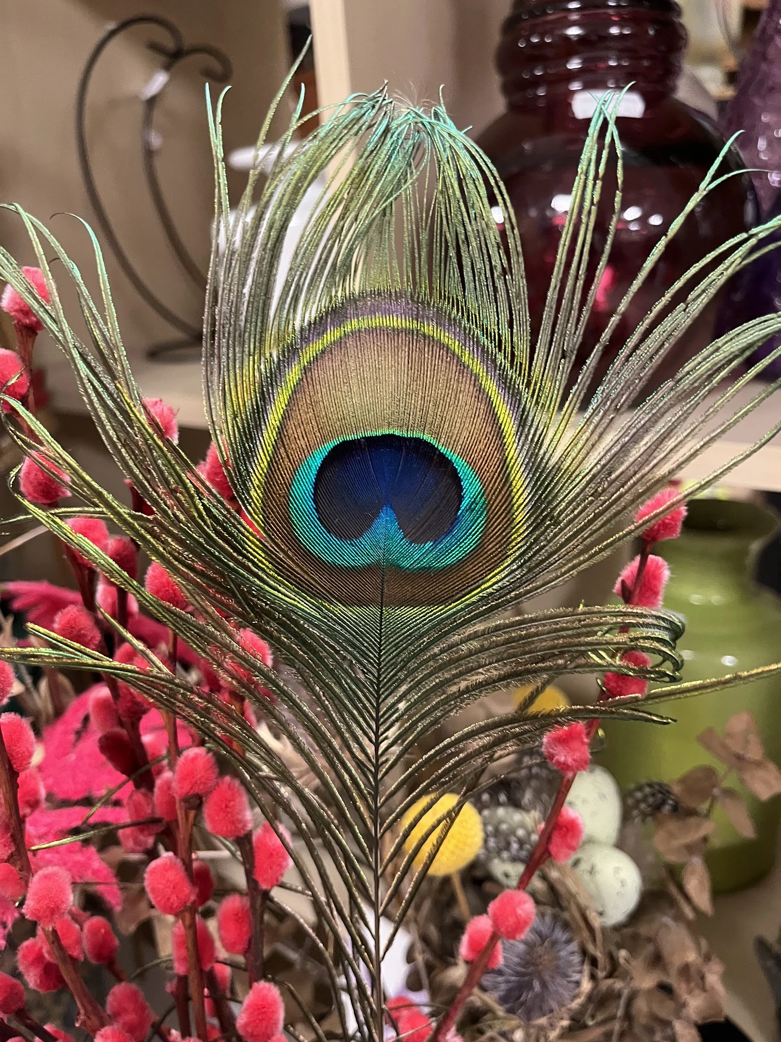 Close-up van een pauwenveer met turquoise en donkerblauwe oogvlek, omgeven door roze bloemen