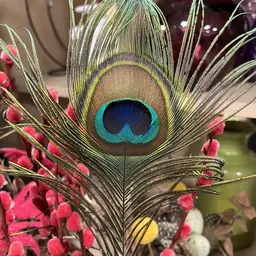 Close-up van een pauwenveer met turquoise en donkerblauwe oogvlek, omgeven door roze bloemen