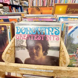 Vinyl LP's in een kringloopwinkel, waaronder 'Donovan's Greatest Hits' prominent zichtbaar
