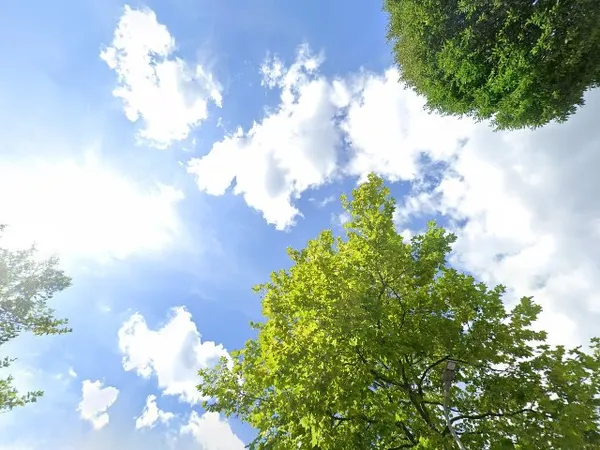 Kringloopwinkel Kringloop in Hoogeveen