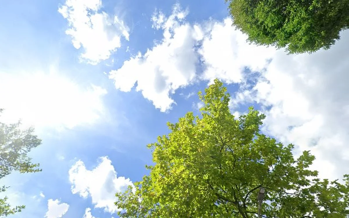 Kringloopwinkel Kringloop in Hoogeveen