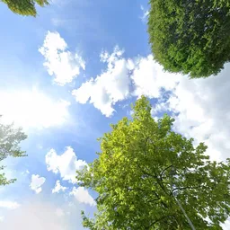 Kringloopwinkel Kringloop in Hoogeveen