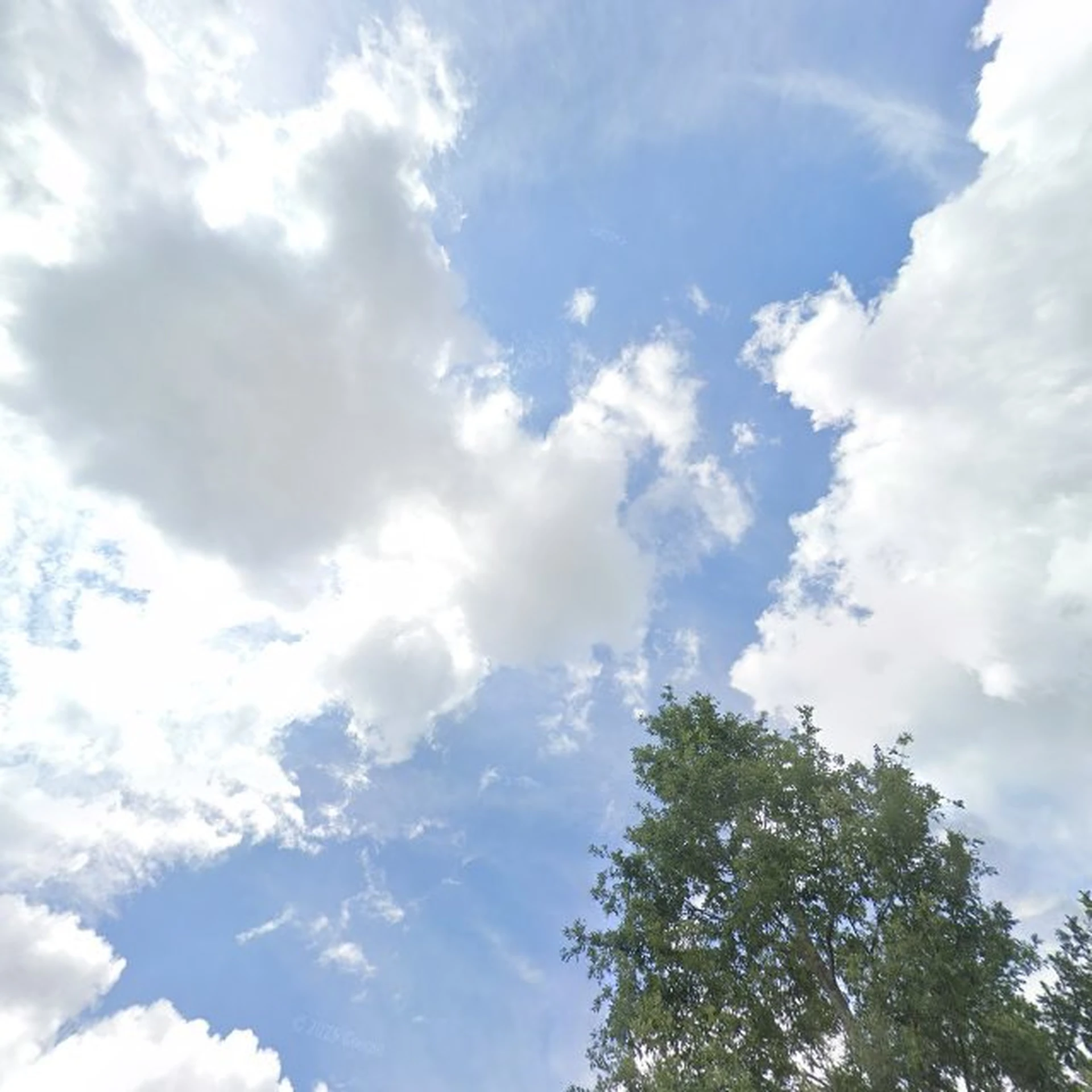 Kringloopwinkel Kringloop in Hoogeveen