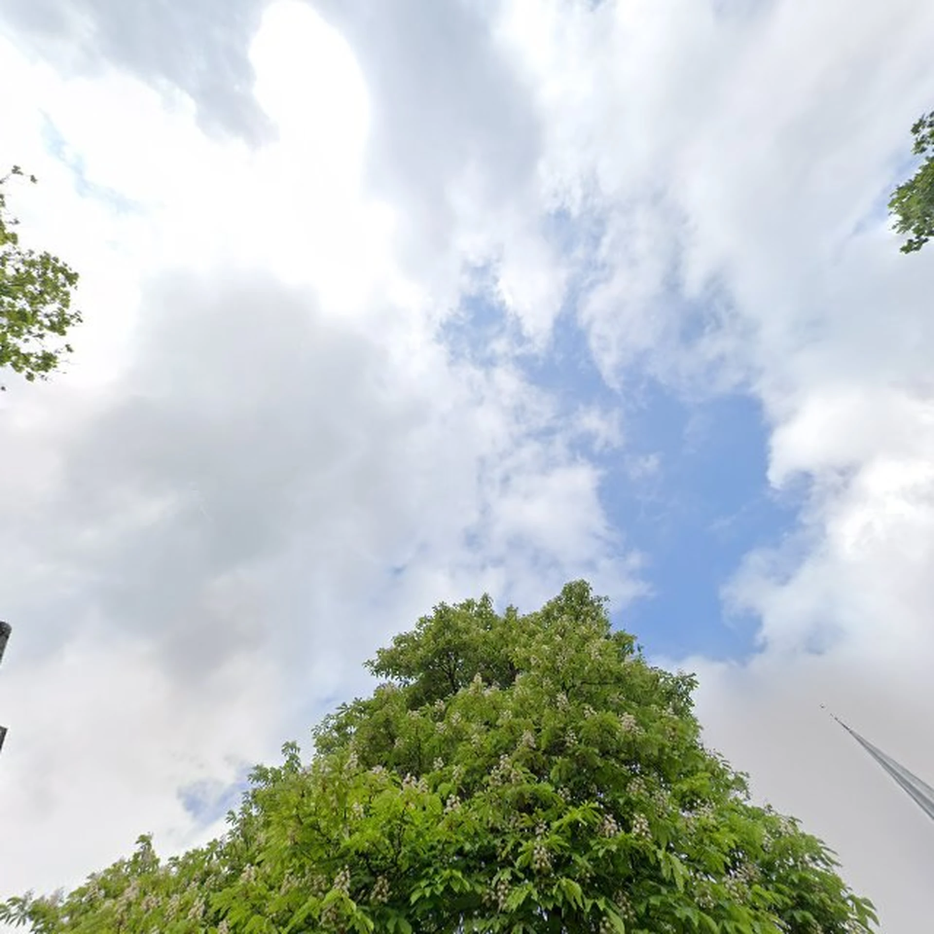 Kringloopwinkel Kringloop In & Uit Velp in Velp