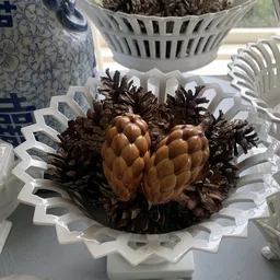 Twee bruine dennenappels in een wit decoratief schaaltje, omgeven door donkere dennenappels