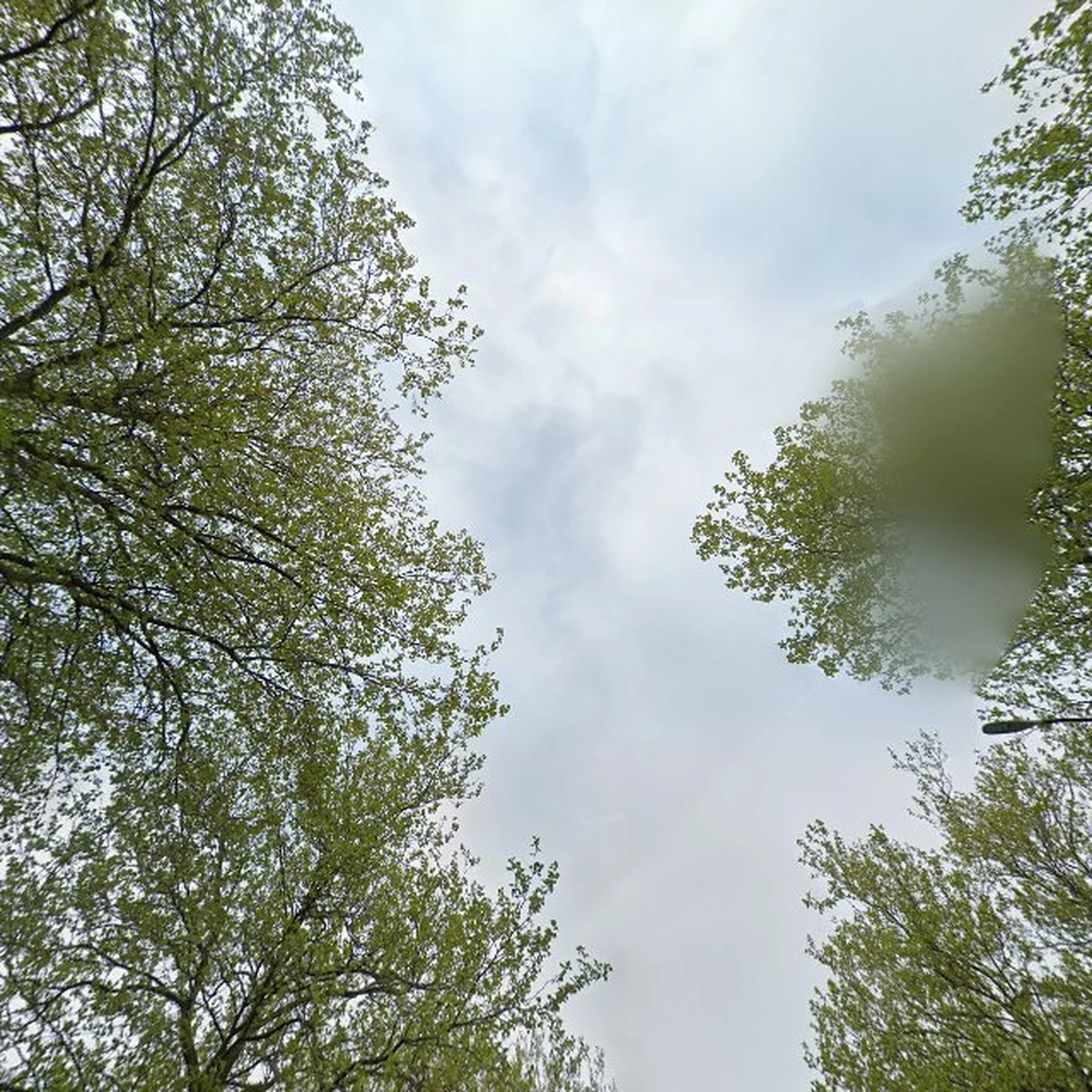 Kringloopwinkel Kringloop Kleurrijk in Huizen