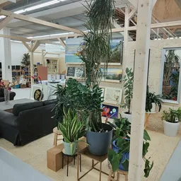Winkelinterieur met houten balkenstructuur, potplanten op verschillende niveaus, zwarte bank op achtergrond en displays met p