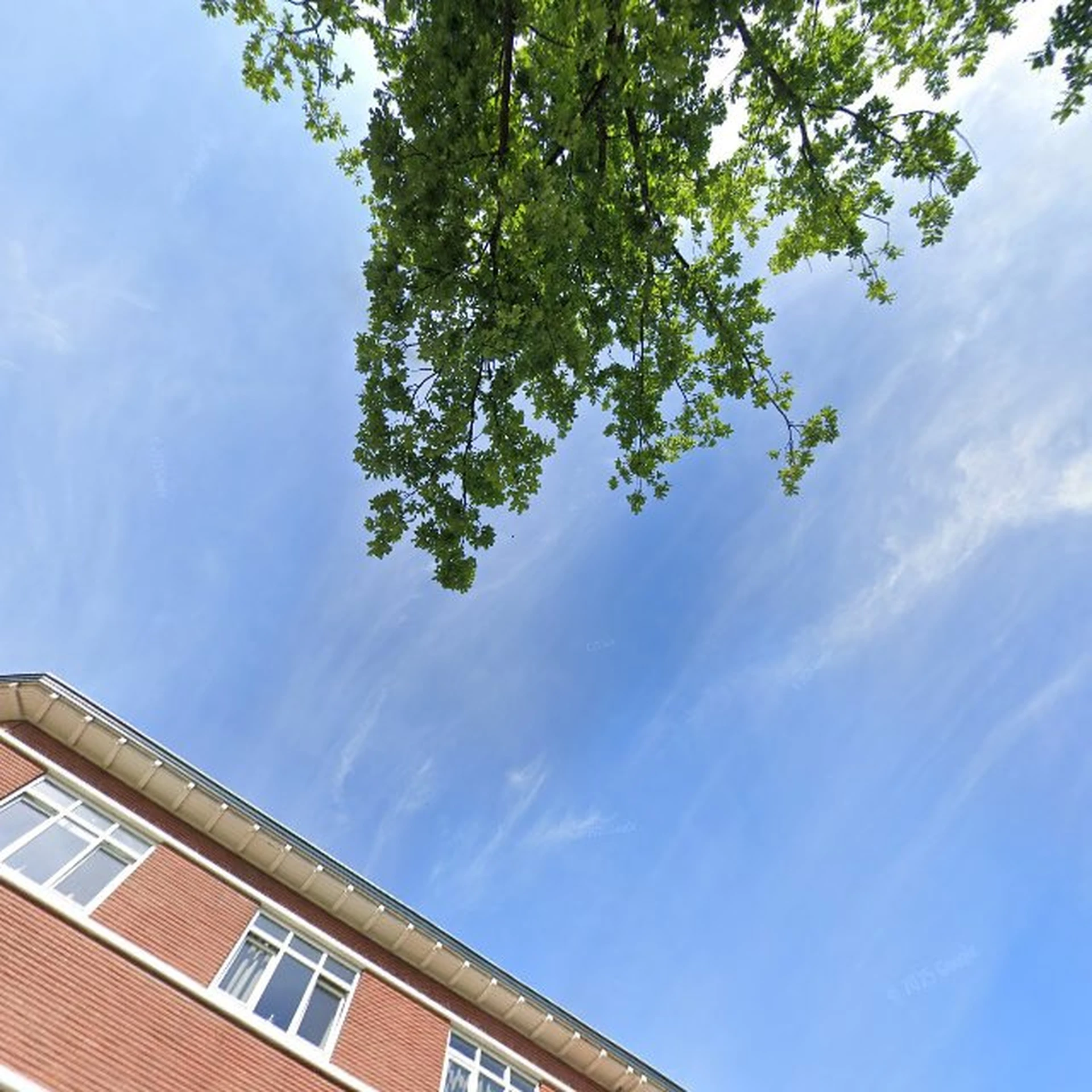 Kringloopwinkel Kringloop Koningslijn in Apeldoorn