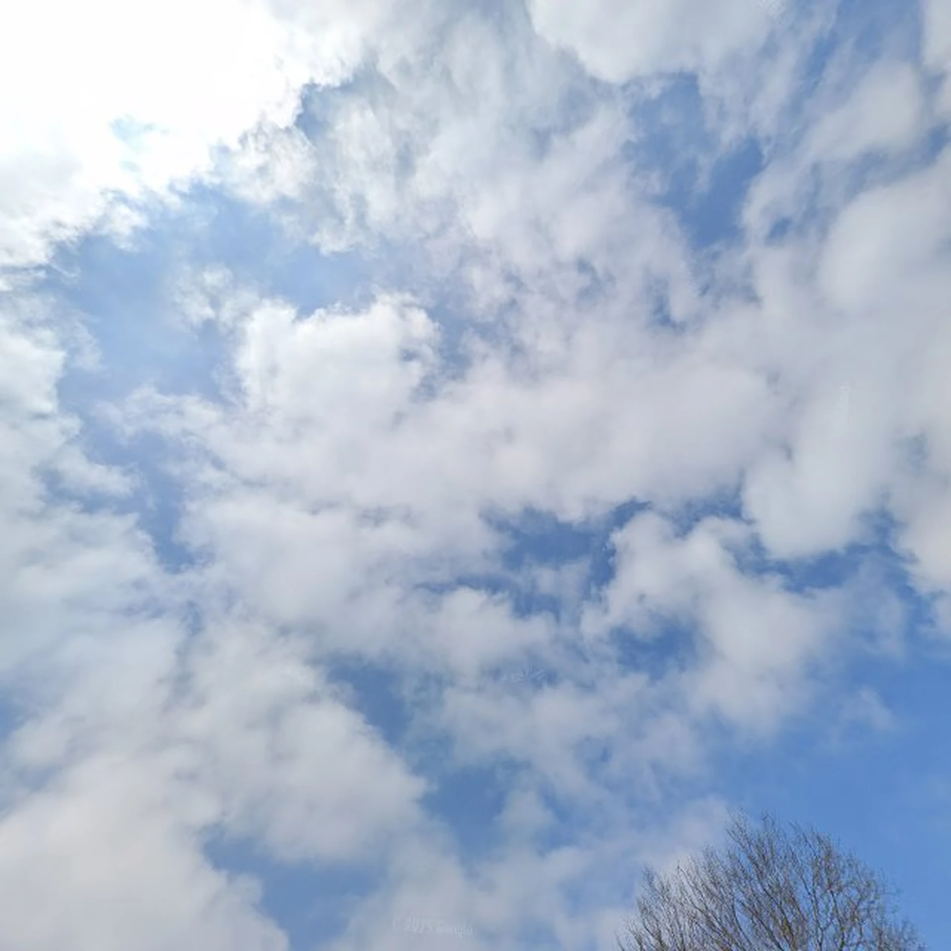 Kringloopwinkel Kringloop / Kringloopwinkel Arnemuiden - Verkoop van tweedehands spullen in Arnemuiden