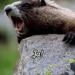 Bezoeker foto van Kringloop Lemmer Radjetoe in Lemmer