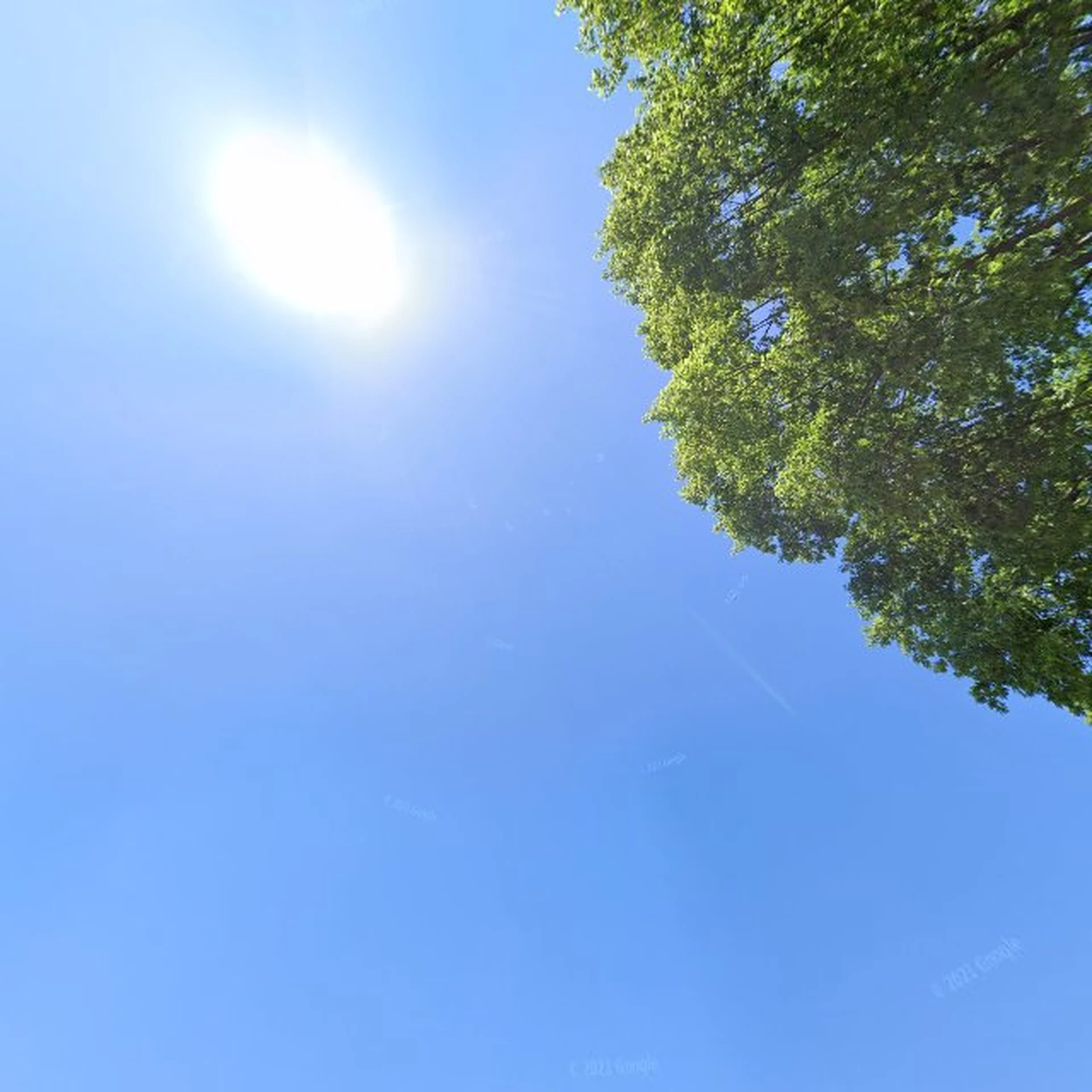 Kringloopwinkel Kringloop-Limburg in Horn