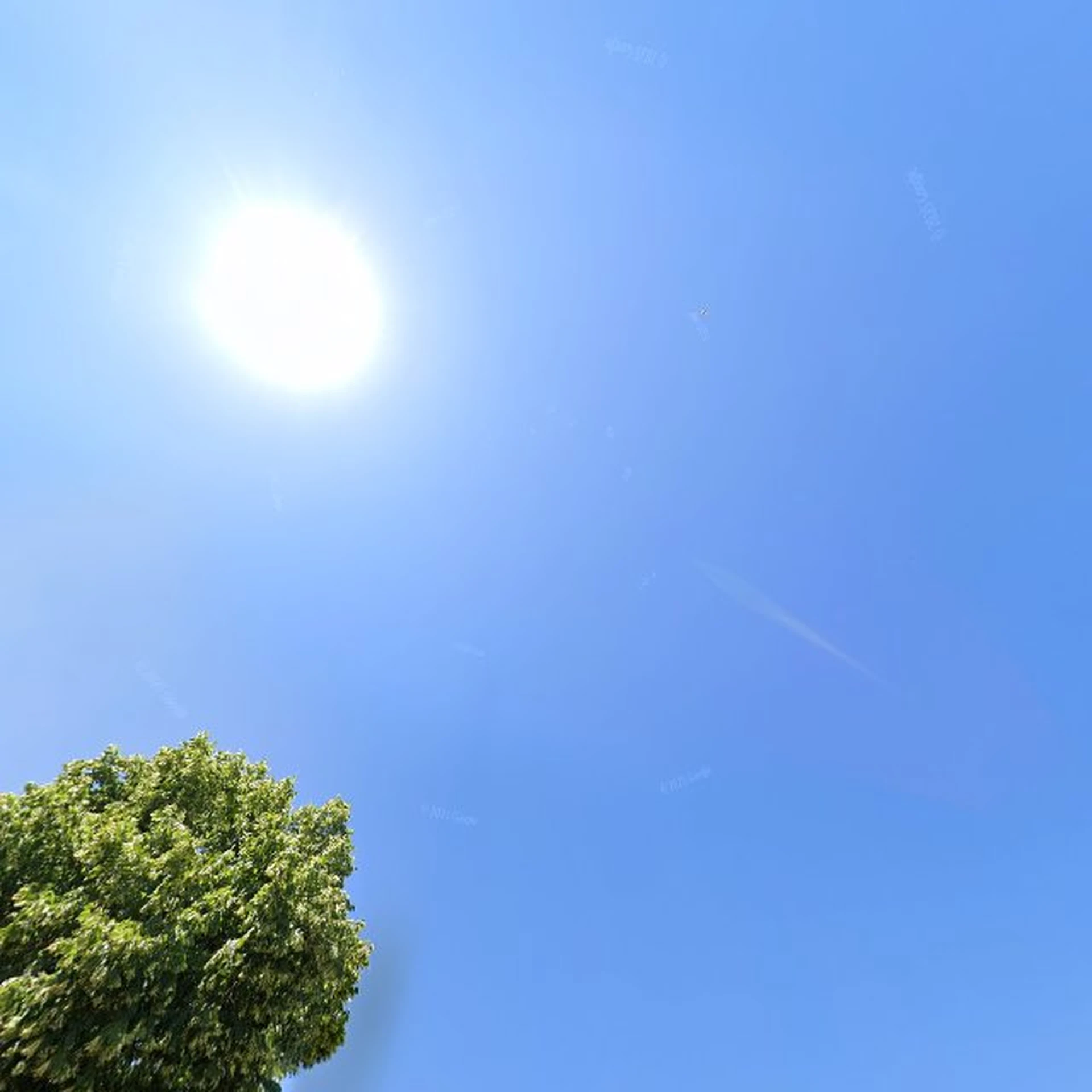 Kringloopwinkel Kringloop Lutten in Lutten