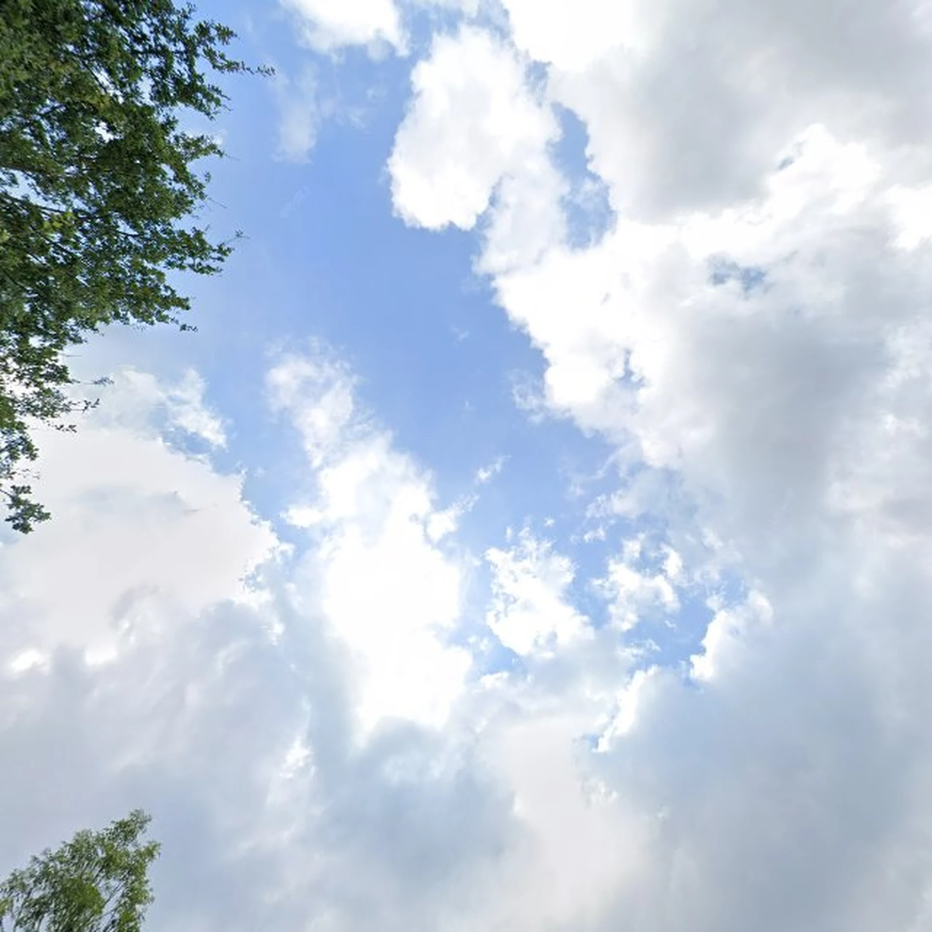 Kringloopwinkel Kringloop Maasniel in Roermond