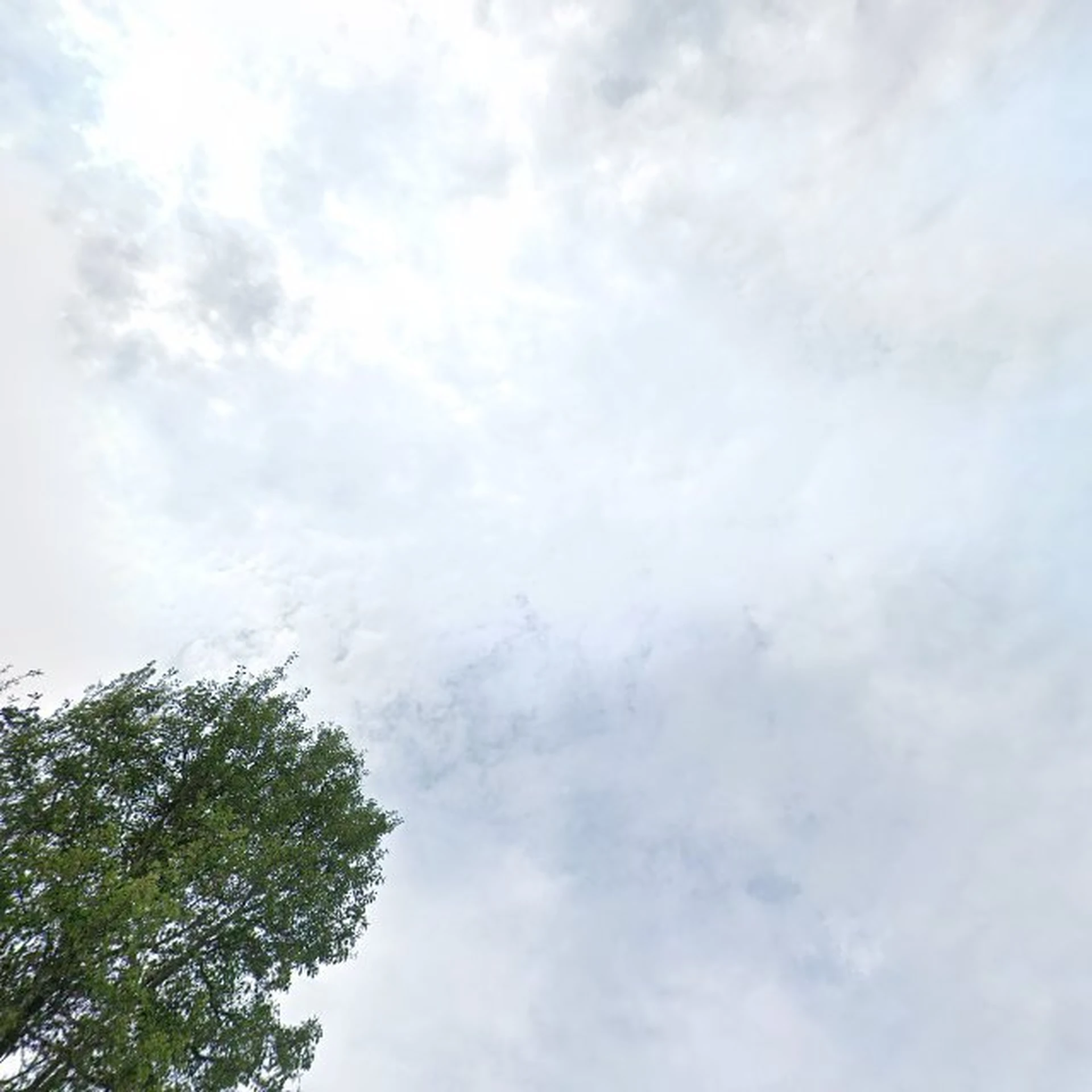 Kringloopwinkel Kringloop MooiZo in Enschede