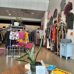 Winkelvloer van kringloopwinkel met kledingrekken, stellingen met tweedehands kleding en een plant op een tafel op de voorgro