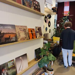 Wandrek met uitgestalde vinyl platen, boeken en decoratieve items in een kringloopwinkel