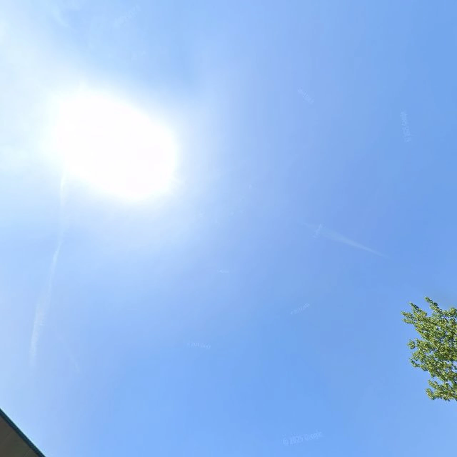 Kringloopwinkel Kringloop Naaldwijk in Naaldwijk