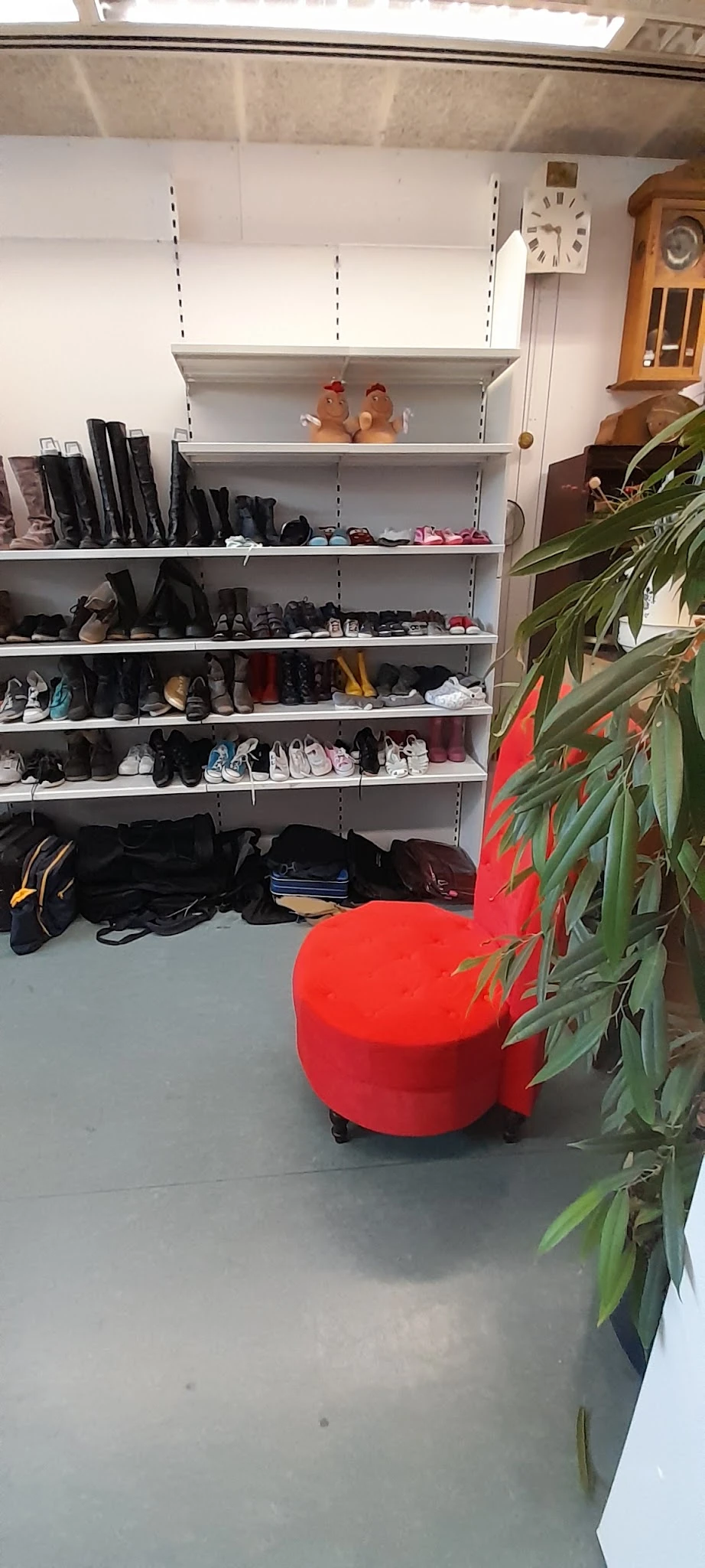 Stellingen met schoenen en tassen, met enkele kleding op de grond en een plant op de voorgrond