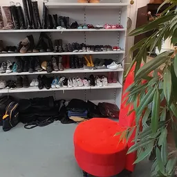Stellingen met schoenen en tassen, met enkele kleding op de grond en een plant op de voorgrond
