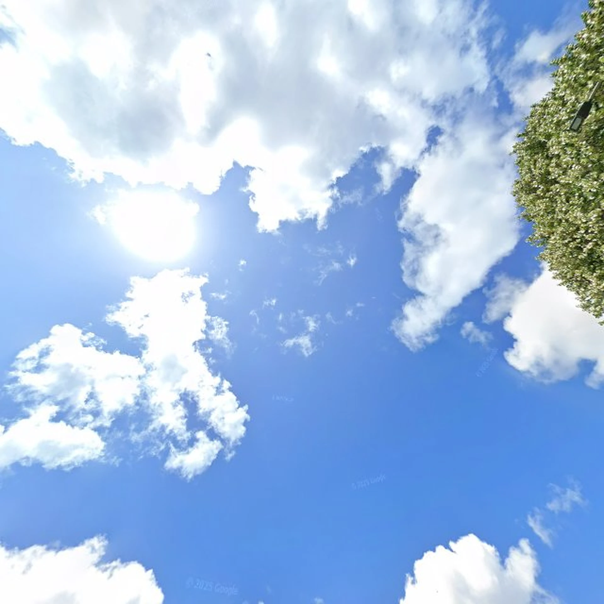 Kringloopwinkel Kringloop Noordenweg in Ridderkerk