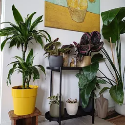 Bezoeker foto van Kringloop Noordenweg in Ridderkerk