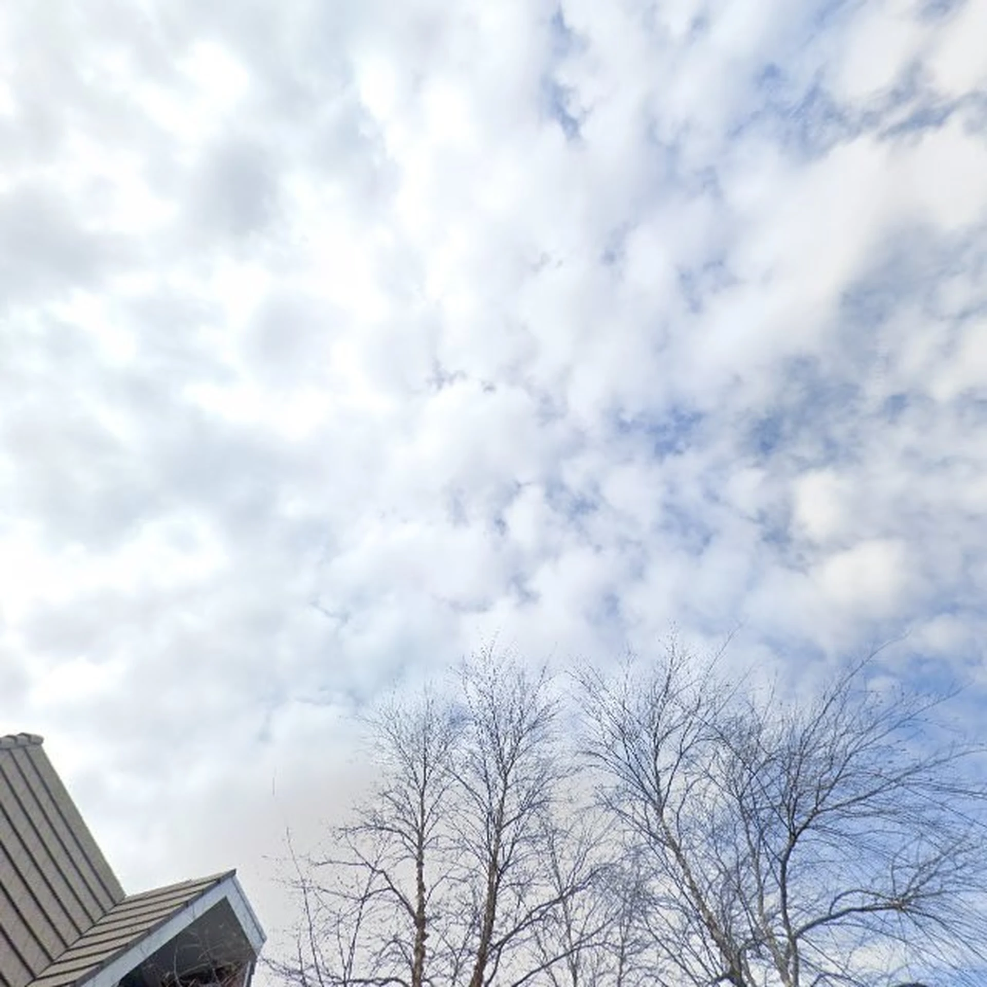 Kringloopwinkel Kringloop Noordwijkerhout in Noordwijkerhout