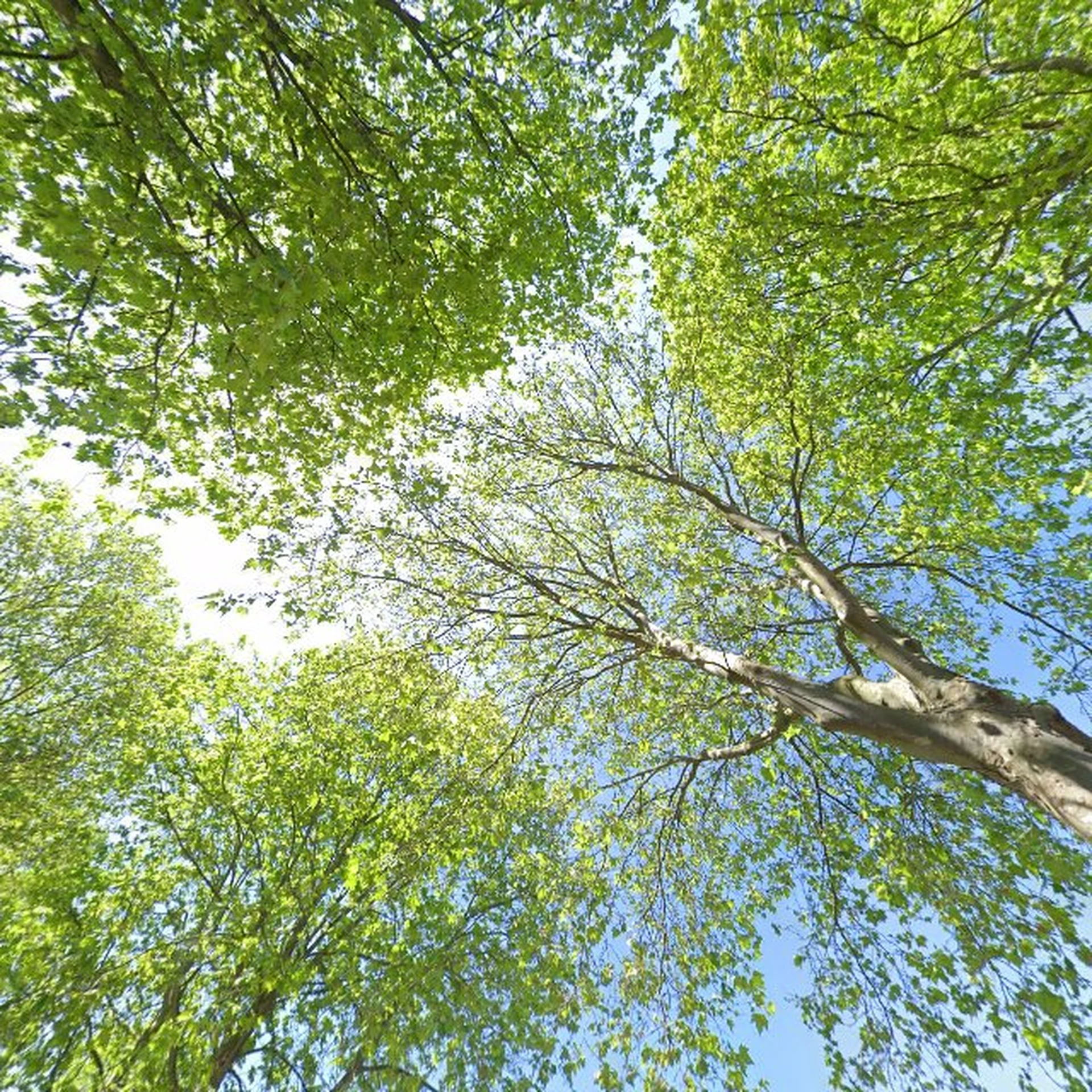 Kringloopwinkel Kringloop ONA Asten-Someren in Asten
