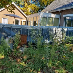 Tuinarea achter woonhuizen met blauwe schermen, groeiende planten en gereedschap