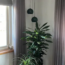 Bezoeker foto van Kringloop & Outlet De Snuffelaar De-goedkoopste-ontruimer.nl in Raalte