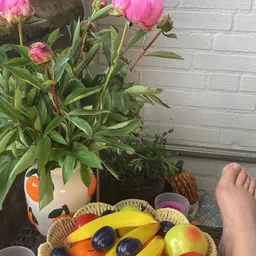 Plantenrek met bloeiende plant en diverse huishoudelijke artikelen tegen witte muur