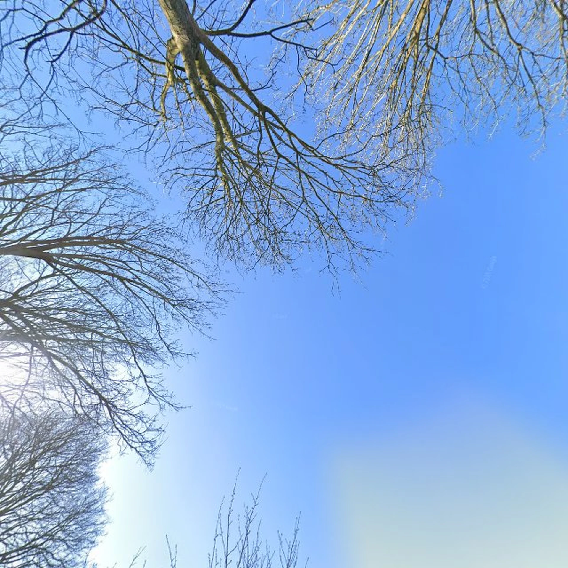 Kringloopwinkel Kringloop Paleis Zuid in Haps