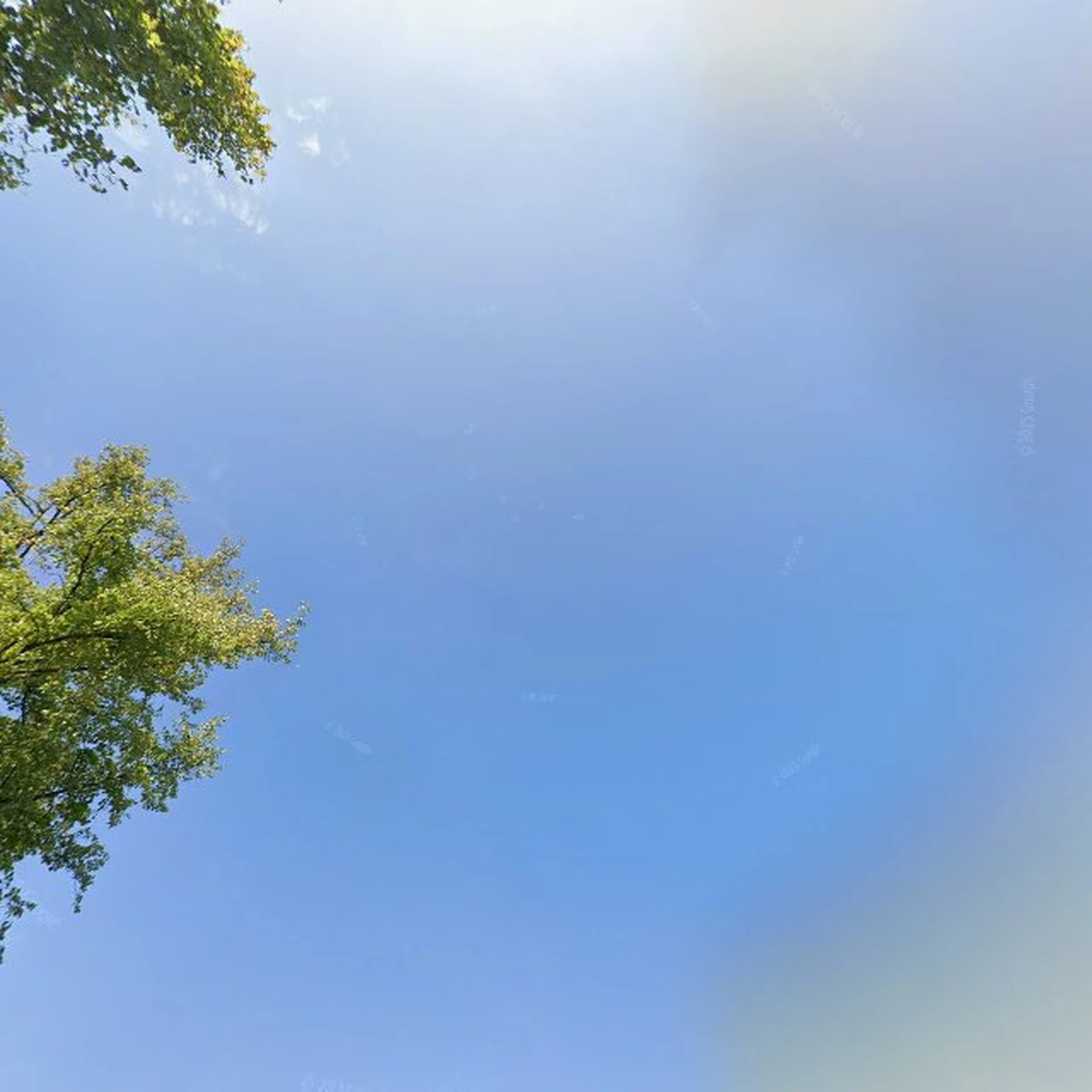 Kringloopwinkel Kringloop Pikulan in Surhuisterveen