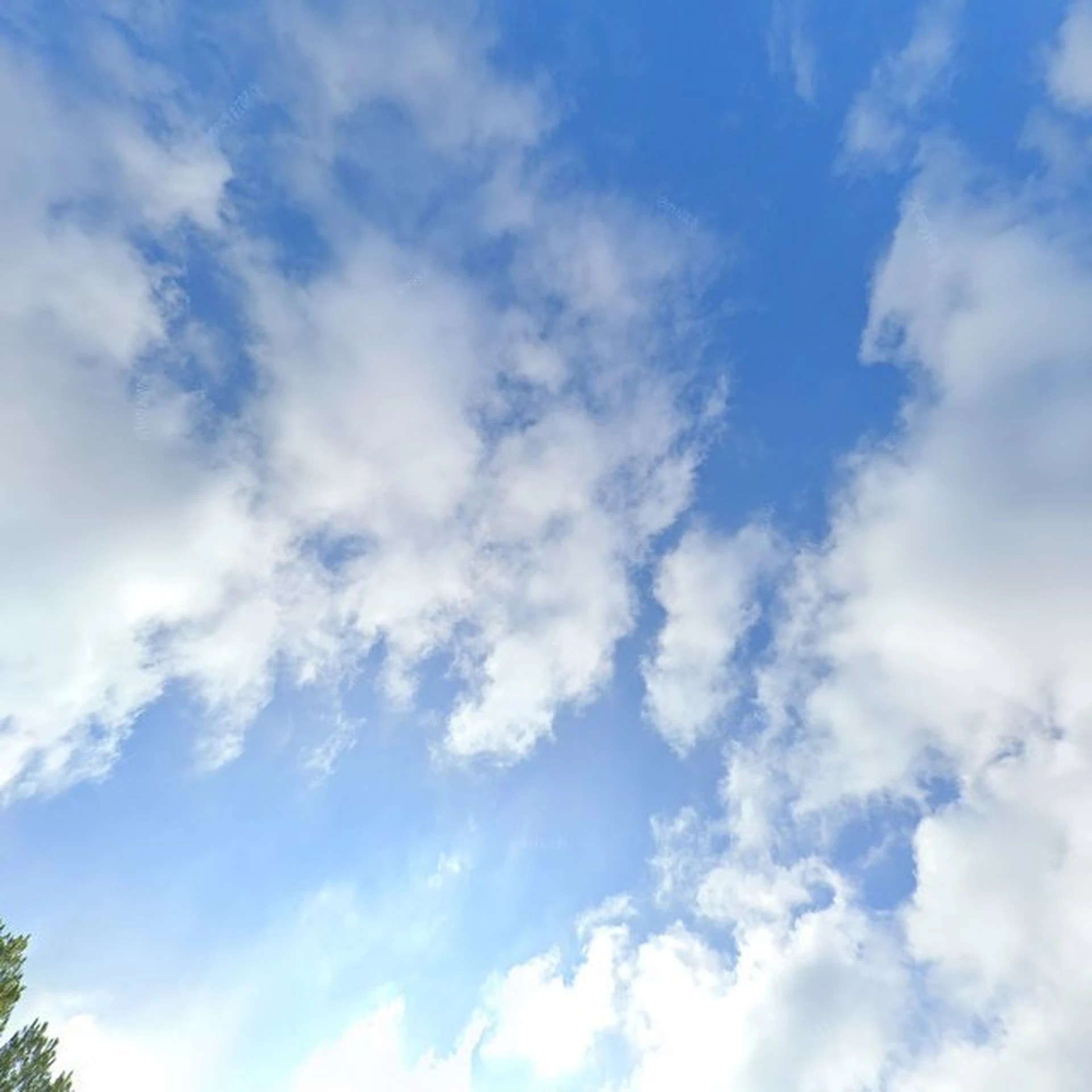 Kringloopwinkel Kringloop Plus in Groningen