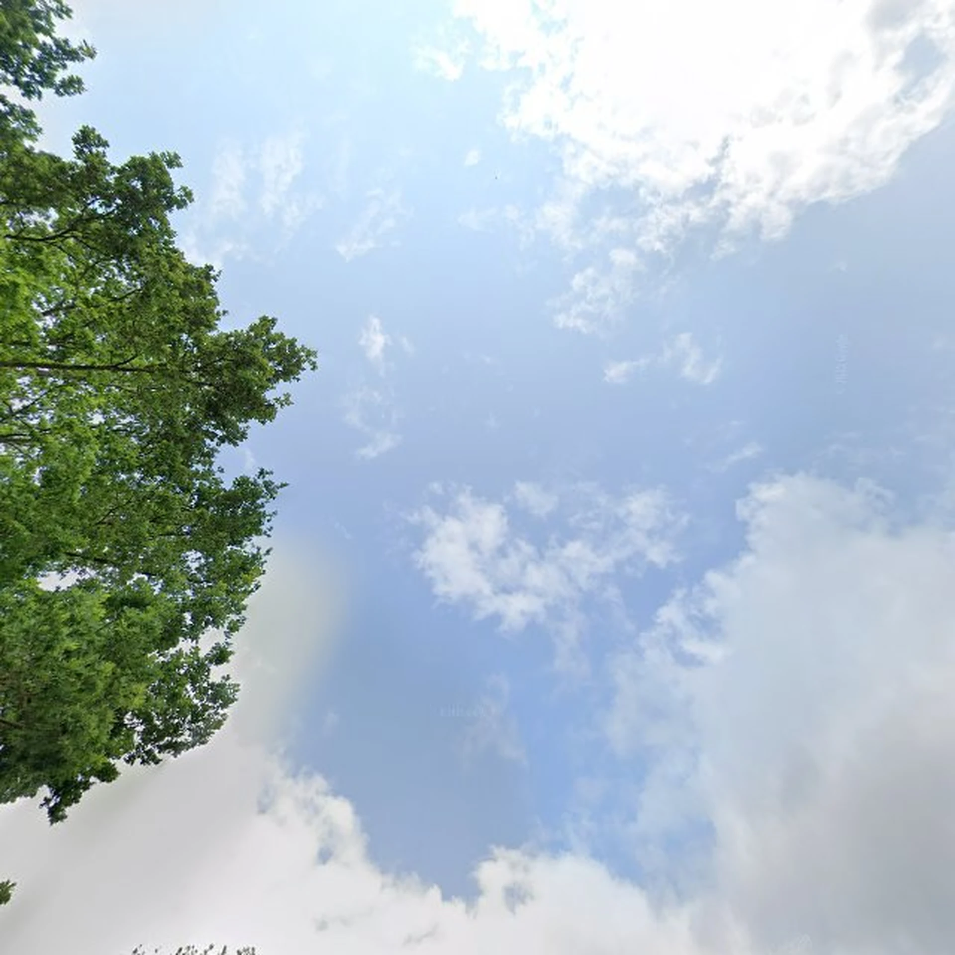 Kringloopwinkel Kringloop Puik in Epe